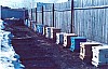 hive -62.jpg hive -62.jpg